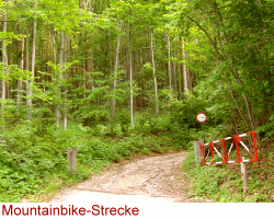 Mountainbiken Raxblick-Strecke